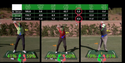 weight distribution data